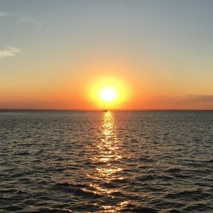 Meet your Posher, Kailee